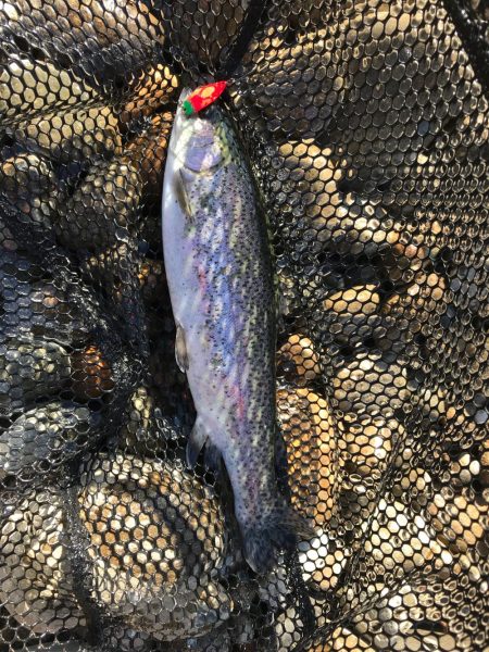 北方 マス釣り体験所