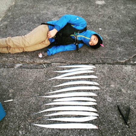 タチウオ時合い