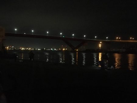 イワシと太刀魚