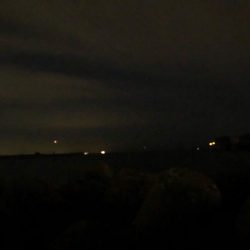 今シーズン初ドラゴン(^｡^)