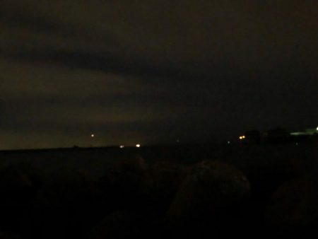 今シーズン初ドラゴン(^｡^)