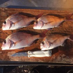 ああ、遅刻です。、