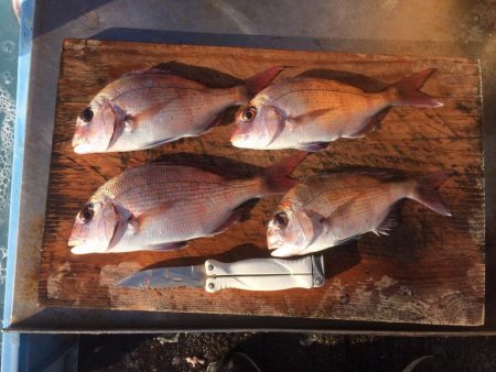 ああ、遅刻です。、