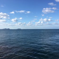 寒いながらも…