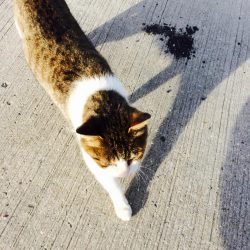 何とか絞り出した一杯