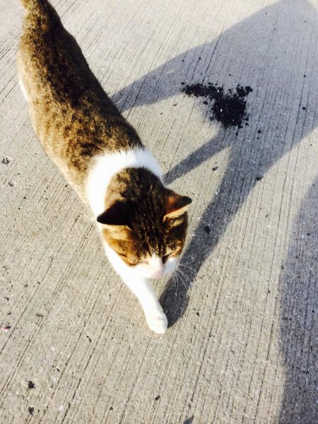 何とか絞り出した一杯