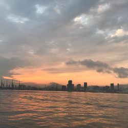 ナブラボーズに外撃ちサゴシ♫