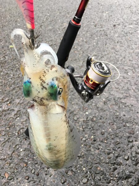 天気予報通りにはいきません(T . T)