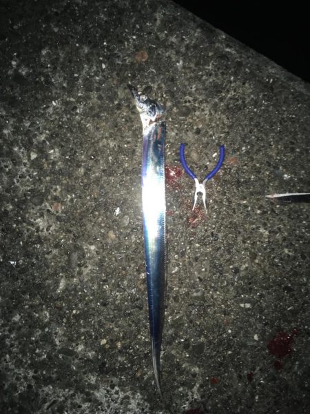 小雨の中の爆釣