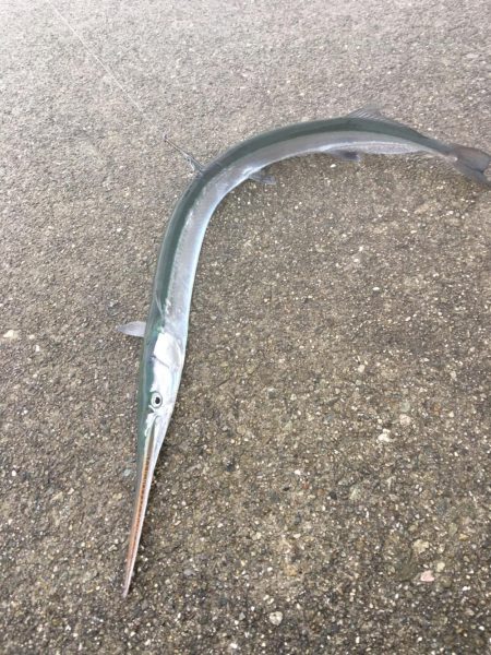 ショアジギング&釣り場の掃除