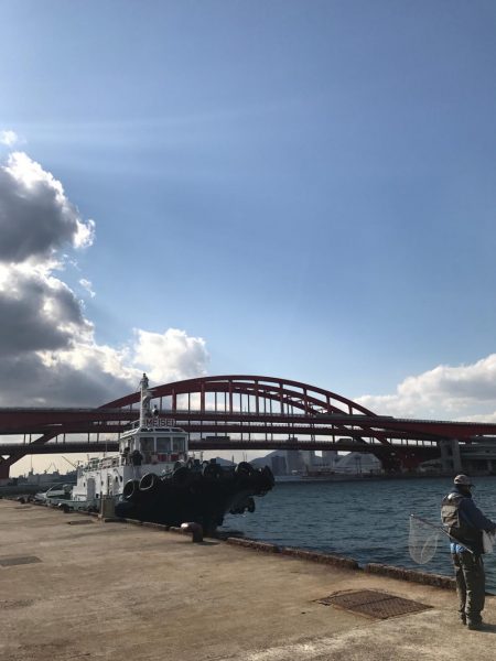 サゴシライズ♫