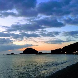 大里松原海岸 アオリイカ