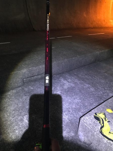 久しぶりの夕方釣行