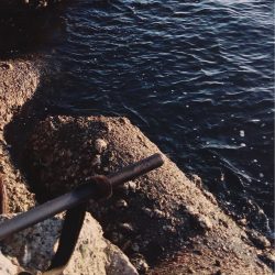 朝まづめショアジギング