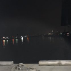 久しぶりのアジング！