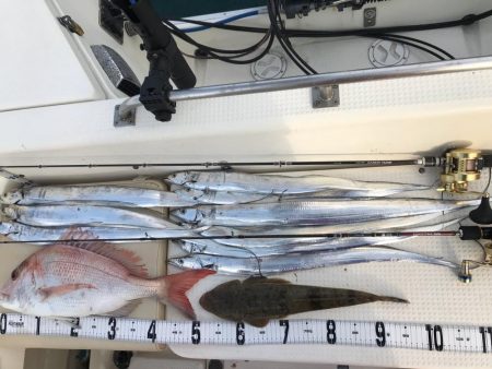 タチウオジギング  鯛ラバ