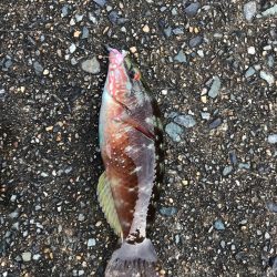 ミップル様周辺にて。