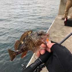 タックルボックス探してます