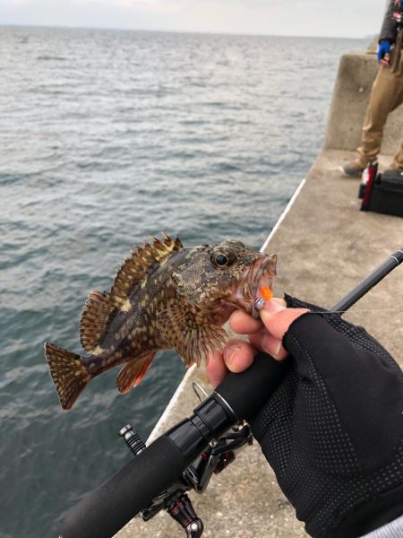 タックルボックス探してます