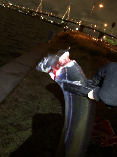 おもろかった～