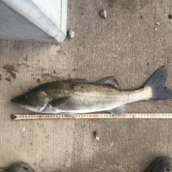 橋の下サイコー