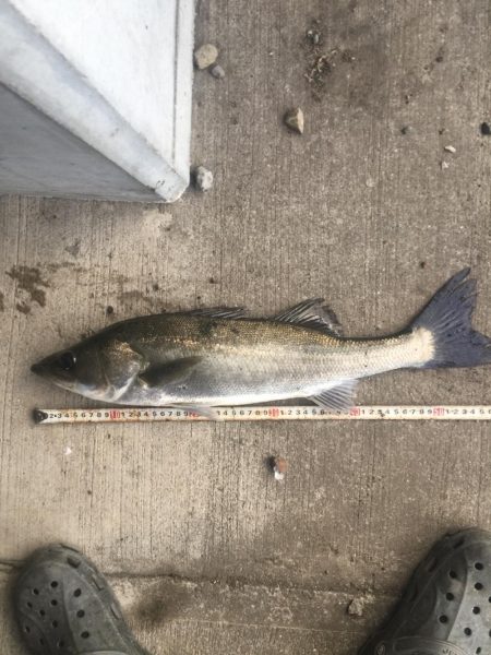 橋の下サイコー