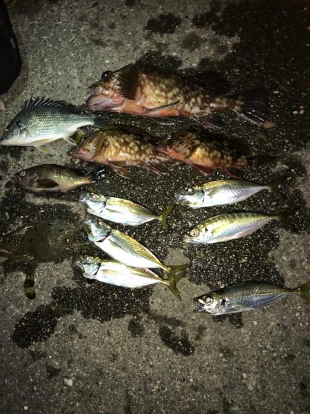 爆風ライトゲーム