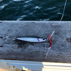 爆風までの釣行