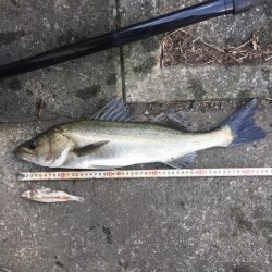 引き潮になって