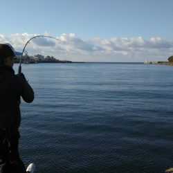 ジギング釣行〜朝まずめ〜