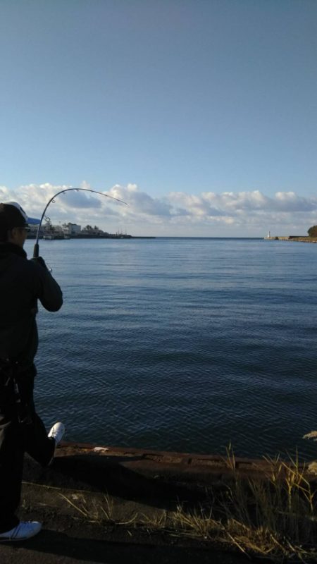 ジギング釣行〜朝まずめ〜