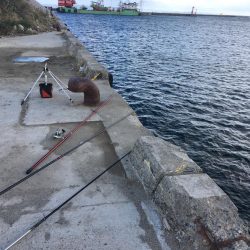 カレイ投げ釣り