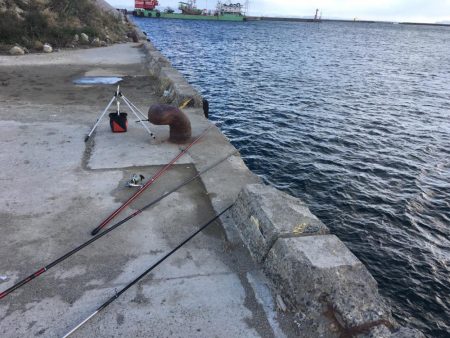 カレイ投げ釣り