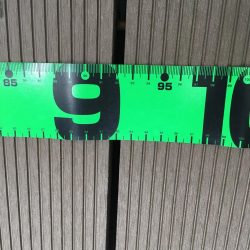 ドラゴンに1本及ばず！