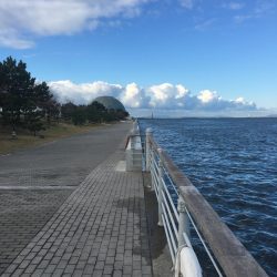 大阪奥湾ワインド シーサイドコスモ