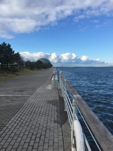 大阪奥湾ワインド シーサイドコスモ