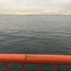 ハマチをショアジギングで釣りたくて