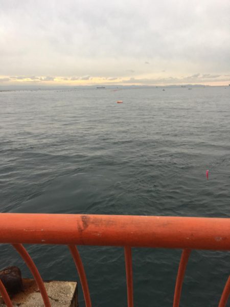 ハマチをショアジギングで釣りたくて