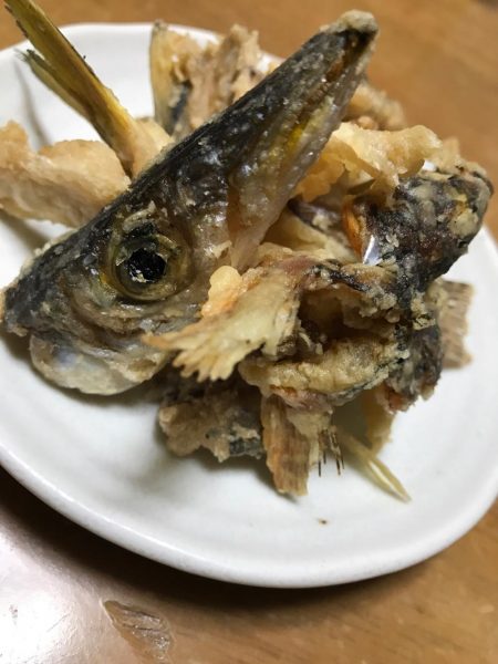 メバルは無し！