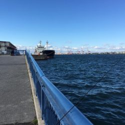 大阪奥湾サビキ アジ快釣