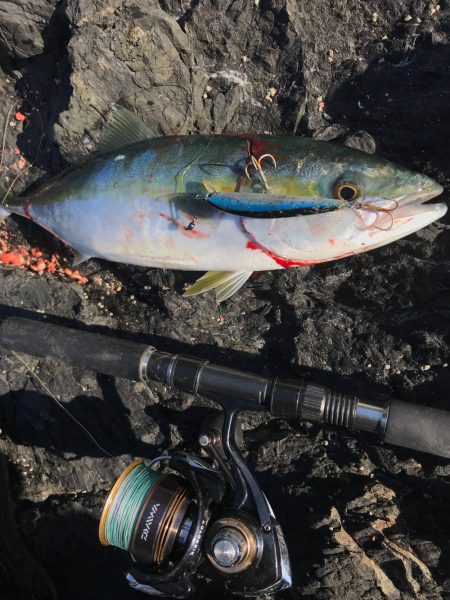 御五神島 フカセ&ルアー