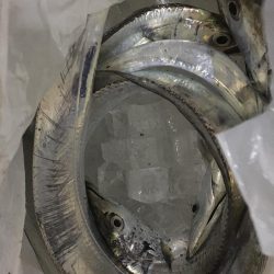 アタリが少ない