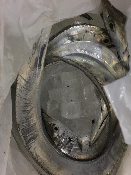 アタリが少ない