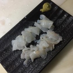 夜のガシラ釣り