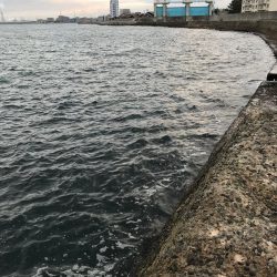 大野漁港 根魚ライトゲーム