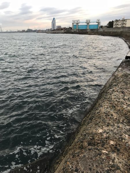 大野漁港 根魚ライトゲーム