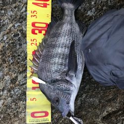 遅刻で釣り場変更