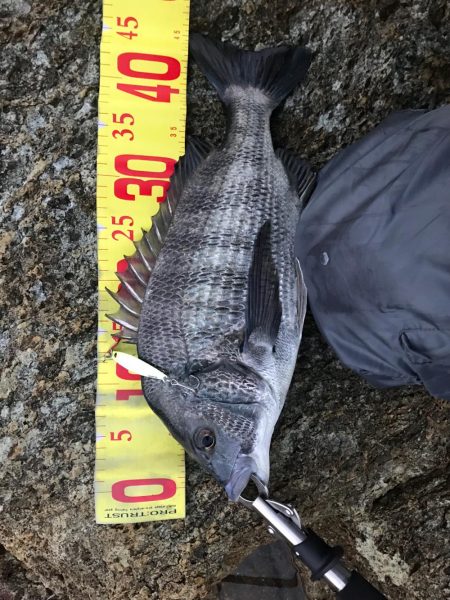 遅刻で釣り場変更