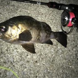 ンメェヴァルィング！