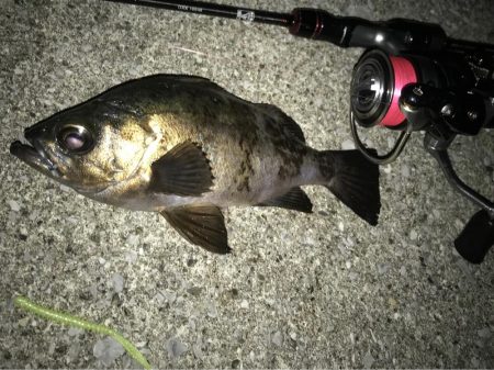 ンメェヴァルィング！